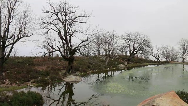 湖的全景