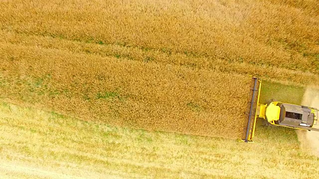 在田间作业的联合收割机鸟瞰图。