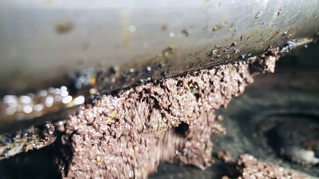 制作橄榄油——意大利南部的橄榄油磨坊