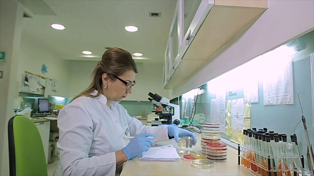 实验室微生物专科医生，摄影