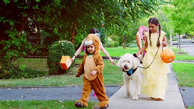 孩子和狗在万圣节的服装为Trick Or Treating