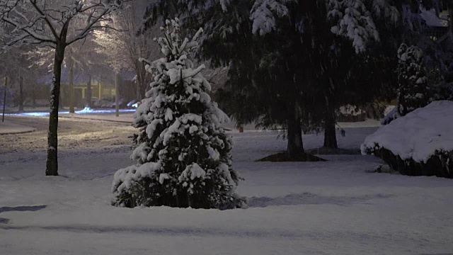 雨雪落在汽车玻璃上，汽车的挡风玻璃上。白雪覆盖的树林