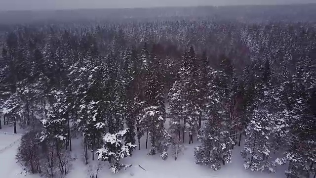 飞过冰雪覆盖的冬季海洋