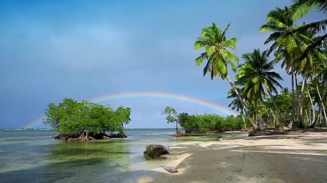 加勒比海上的五彩彩虹和绿色棕榈树。旅游的背景