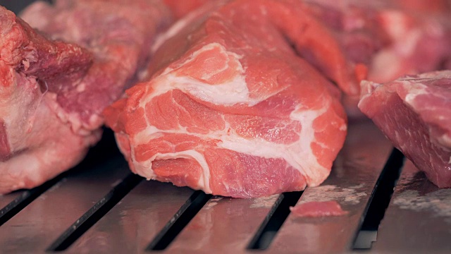 近距离的大肉片被移动沿着工厂的皮带