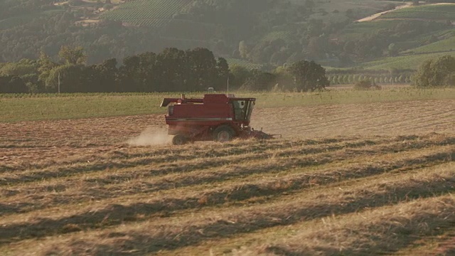 跟踪拍摄的联合收割机在日落，俄勒冈州威拉米特山谷。