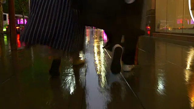 雨夜上海城市交通街道行走全景4k中国