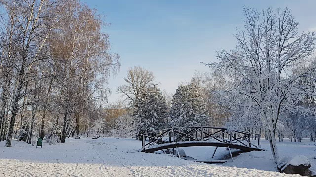 第一场雪在市公园搭了一座桥