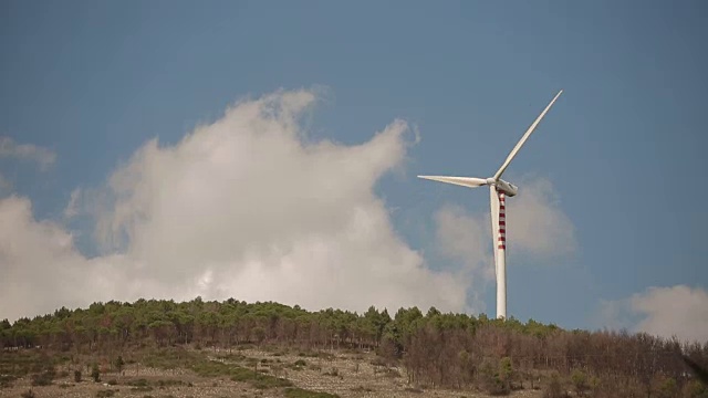 风力发电厂映衬着美丽的蓝天