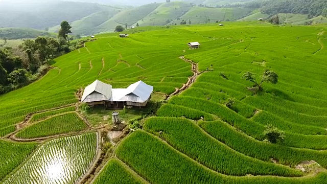 稻田梯田，山地农业用地。