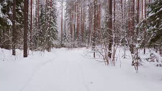 走在冬日雪地里的小路上