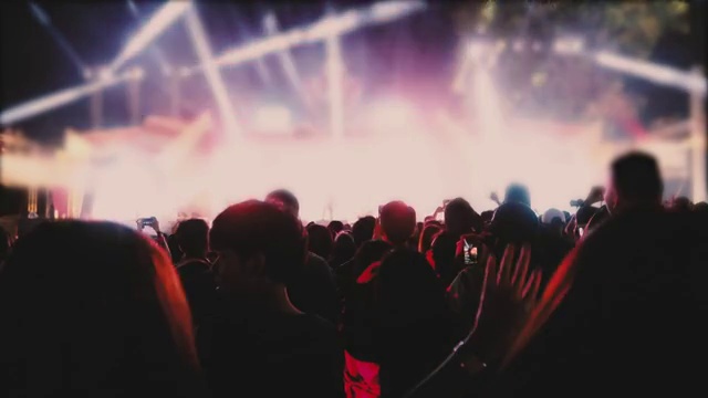 音乐会的人群和人们跳舞