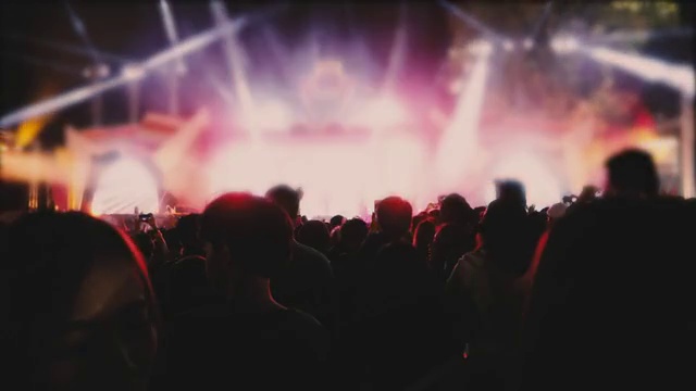 详情图-音乐会的人群和人们跳舞
