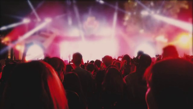 详情图-音乐会的人群和人们跳舞