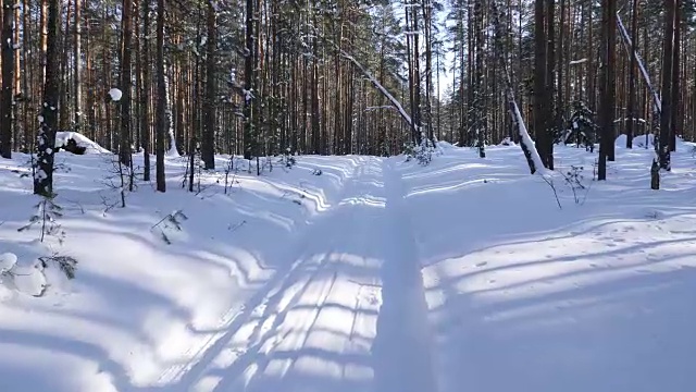 走在冬日雪地里的小路上