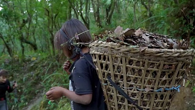 孩子是波特