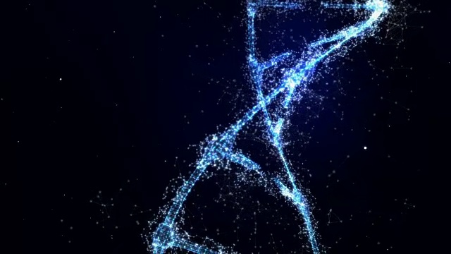 神经丛DNA分子模型