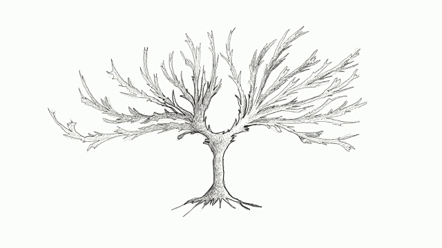 手绘海藻短片草图