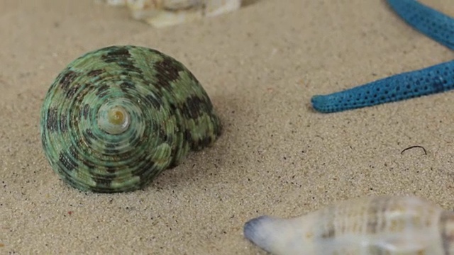 海贝壳和海星躺在沙滩上旋转。特写镜头