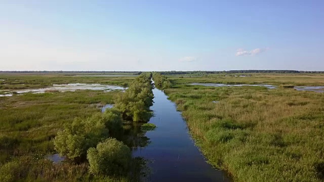 详情图-多瑙河三角洲湿地