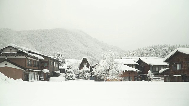 淘金:白川村下雪天无人