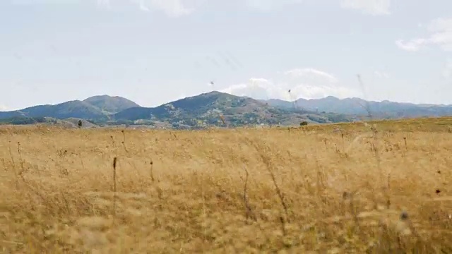 秋天的田野，黄色的草和山