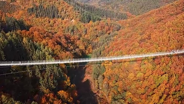 人们在Geierlay (Hangeseilbrucke Geierlay)吊桥上行走的鸟瞰图，德国。