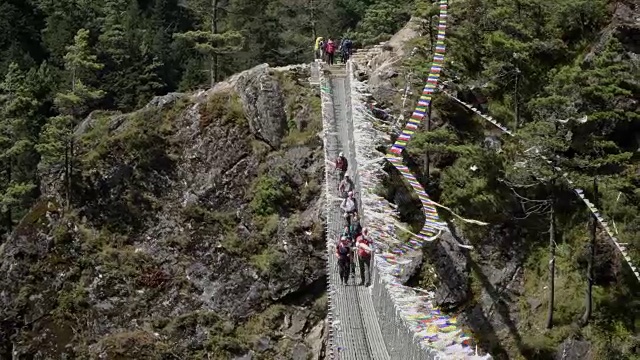 一群徒步旅行者穿过吊桥。