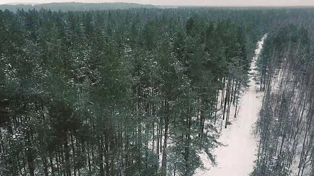 鸟瞰图冰雪覆盖的滑雪道在冬季森林。冬季森林顶视图。Down-up片段。梳理下大雪