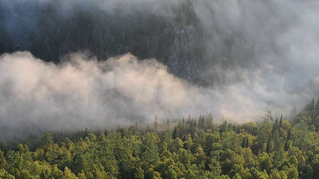 云在松树高地森林上移动。乌拉尔山脉的晨雾景观。