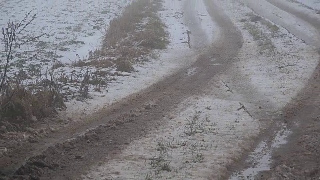 糟糕的乡村道路在潮湿的冬天雪和黑雾