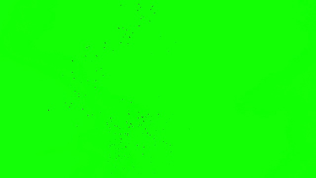一群鸟转身飞向绿幕