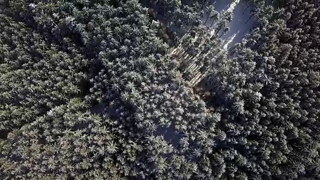 空中的冬景