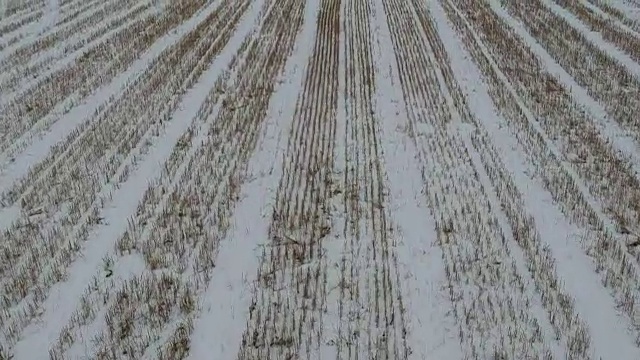 无人机在冬雪中的麦茬地上飞行