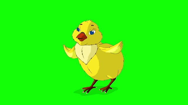 Yellow Chicken Stands和推特Chroma Key