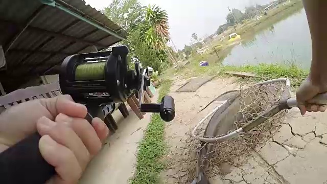 大鱼淡水鱼。
