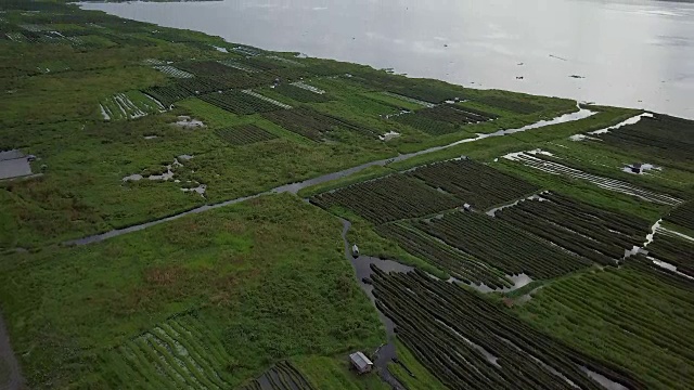 无人机在缅甸漂浮花园上空飞行