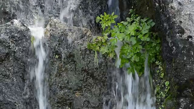 天然水在山中流动，在山泉中下落