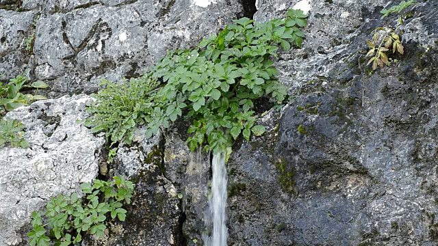 自然的水从山上流下来