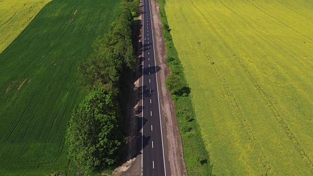 飞过油菜籽田的道路