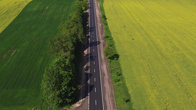 詳情圖-飛過油菜籽田的道路