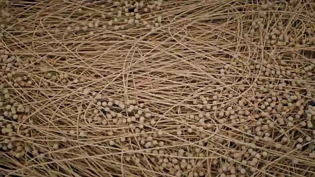 描述数据流的网络概念。