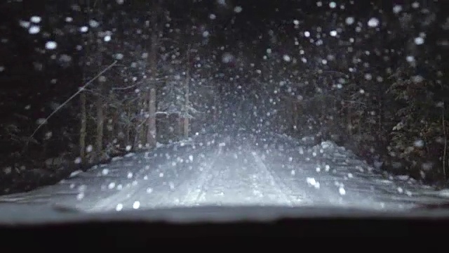 汽车在森林覆盖的道路上行驶。