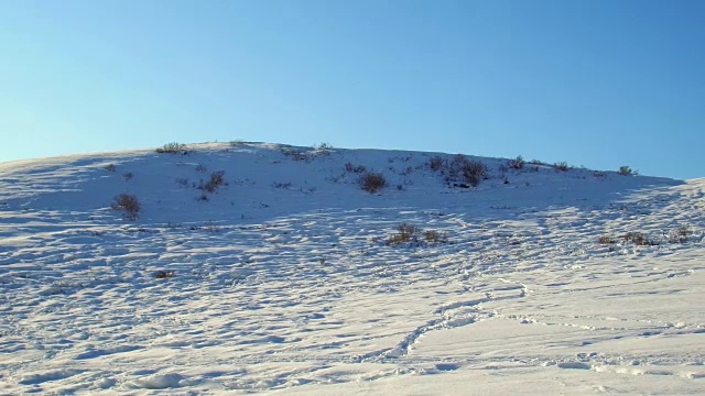 冬季阿尔泰山地景观有牧马和乡村公路