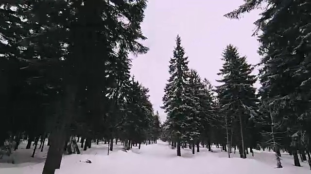 冬季无人机在森林上空和越野滑雪道上飞行