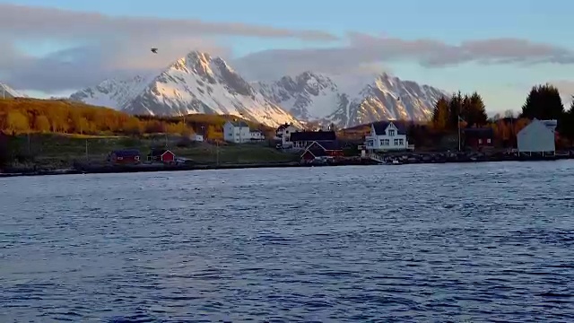 挪威海岸日落时的房子和海鸥