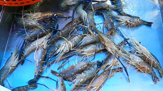 鲜虾
