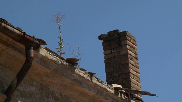 蓝天下建筑物的低角度视图