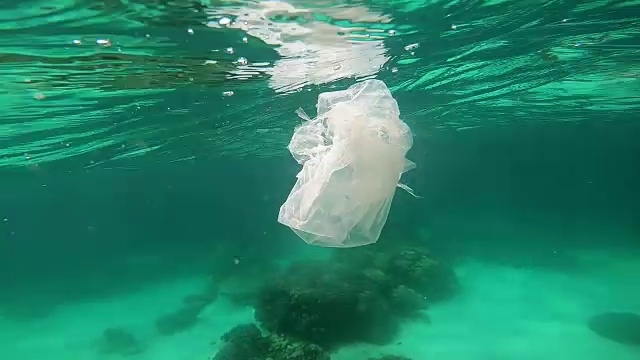 塑料袋漂浮在水下脆弱的珊瑚礁上