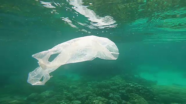 塑料袋漂浮在水下脆弱的珊瑚礁上